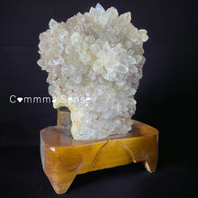 Load image into Gallery viewer, 29cm贊比亞骨幹紫水晶 花 連訂製木座 Amethyst with Wooden Stand