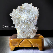 Load image into Gallery viewer, 29cm贊比亞骨幹紫水晶 花 連訂製木座 Amethyst with Wooden Stand