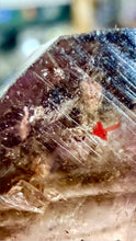 Load image into Gallery viewer, 津巴布韋水膽骨幹紫水晶 (超七)Enhydro Amethyst