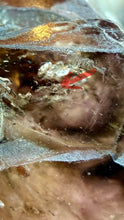 Load image into Gallery viewer, 津巴布韋水膽骨幹紫水晶 (超七)Enhydro Amethyst