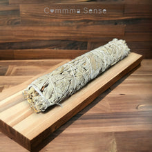Load image into Gallery viewer, 4吋美國白鼠尾草 4Inches White Sage