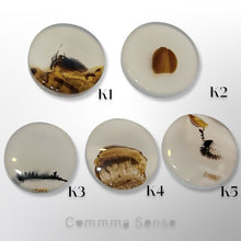 Load image into Gallery viewer, 水草瑪瑙片