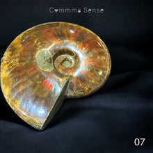 Load image into Gallery viewer, 斑彩螺擺設 Ammolite