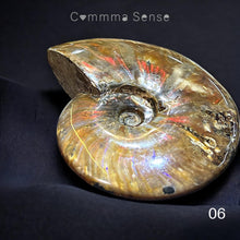 Load image into Gallery viewer, 斑彩螺擺設 Ammolite