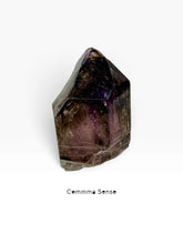 Load image into Gallery viewer, 水膽骨幹紫水晶 (超七）Enhydro Amethyst
