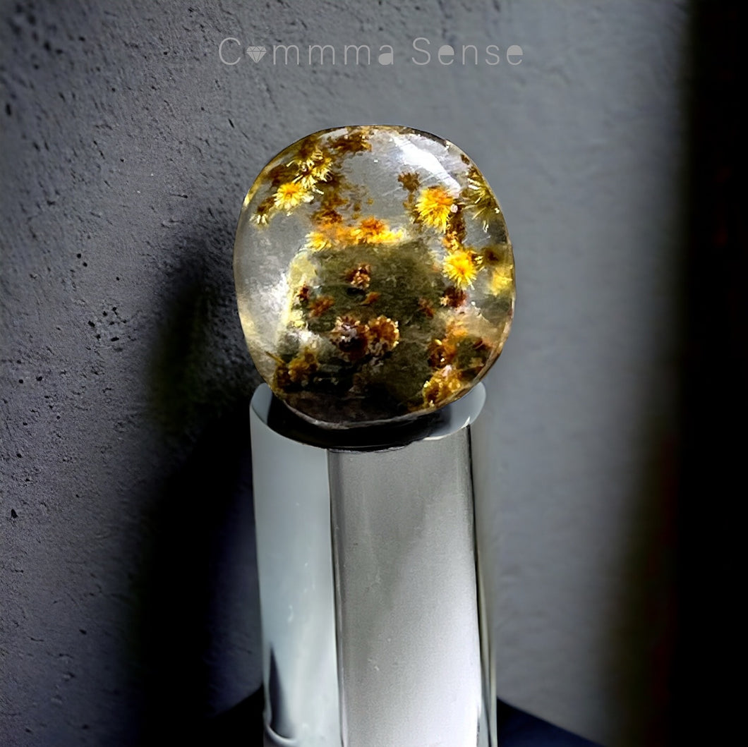 透體海膽太陽花金鈦晶x綠幽靈共生晶石 Phantom Crystal with Rutilated Quartz