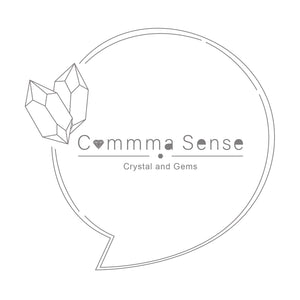 Commma Sense Workshop Limited 